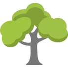 Burlington Tree Removal