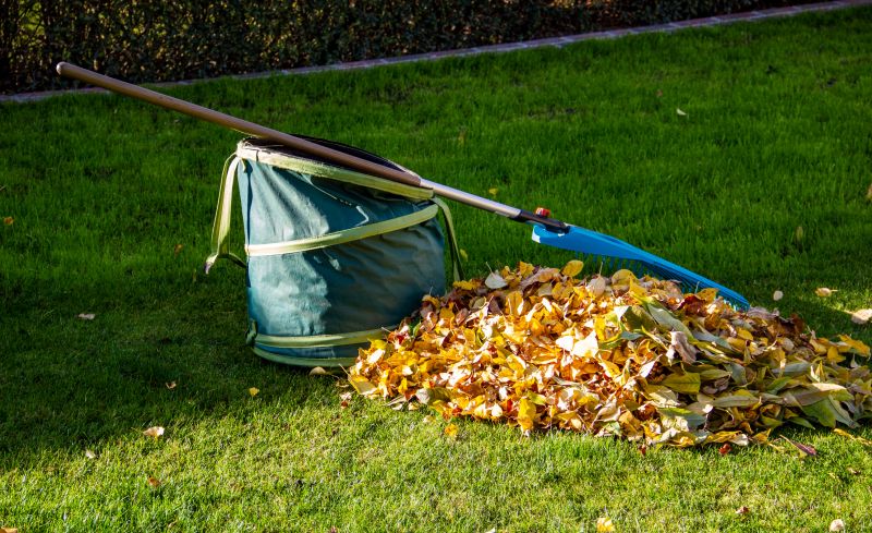 Efficient Leaf Disposal